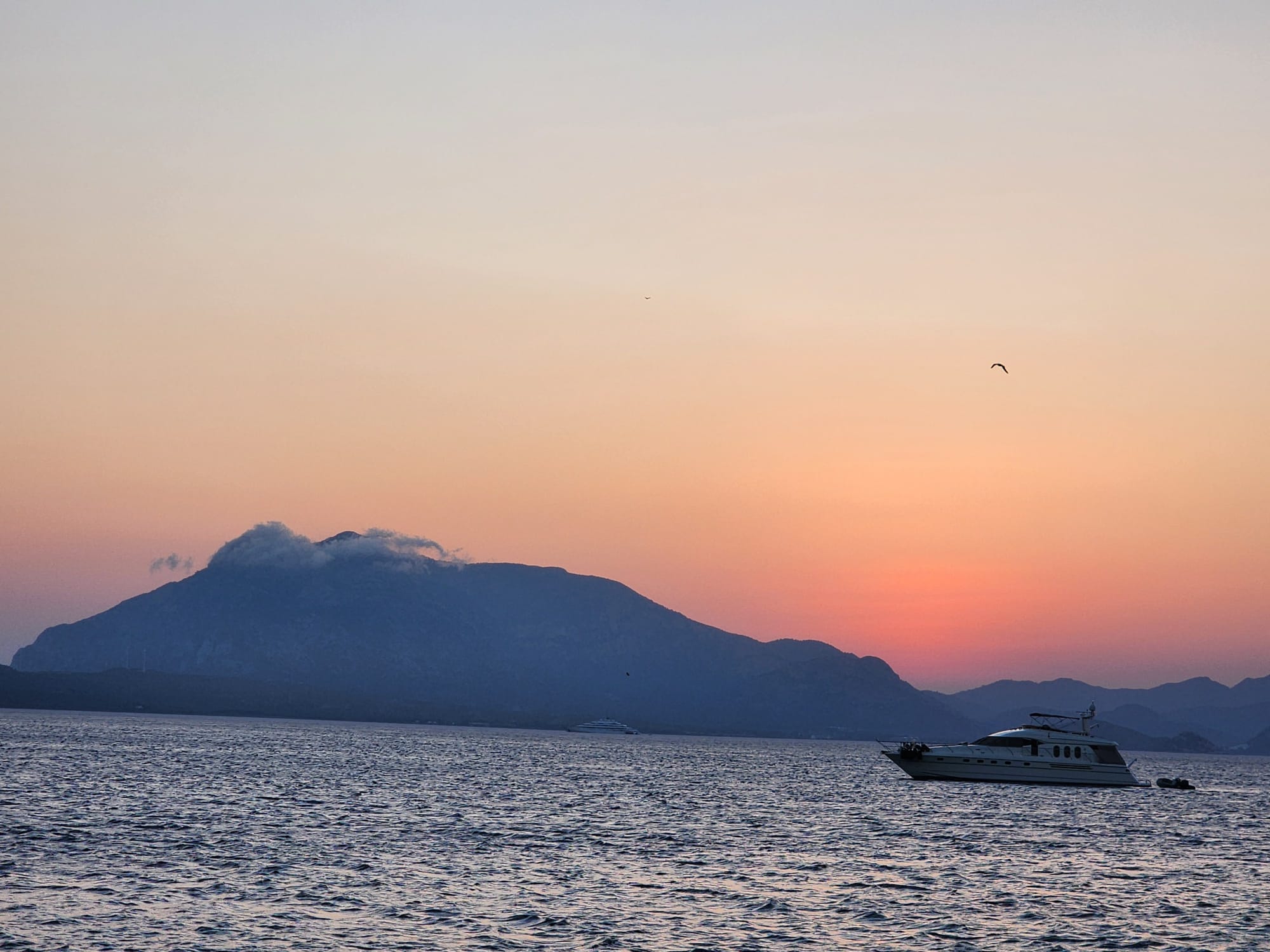 Karasinek Isırınca